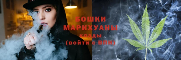 спайс Арсеньев