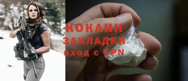 спайс Арсеньев
