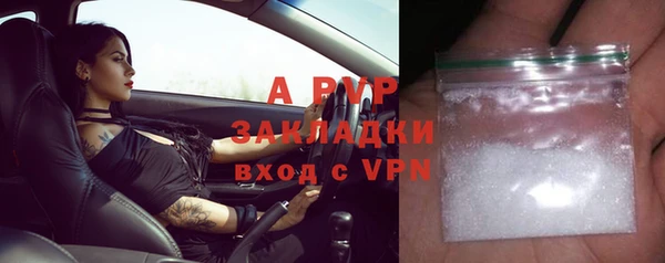 спайс Арсеньев