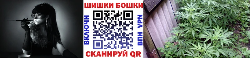 Конопля AK-47 Купить где Новомосковск